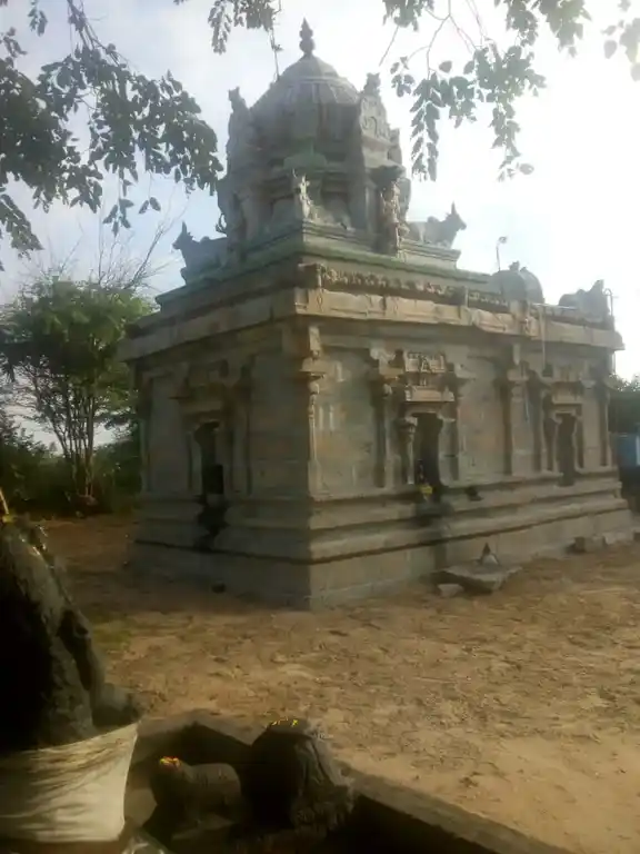 Arulmigu Kathalivaneshwarar Temple, Velur - 621316 அருள்மிகு கதலிவனேஸ்வரர் திருக்கோயில், வேலூர் - 621316, Pudukkottai - Ancient Temple Architecture and History Image 3