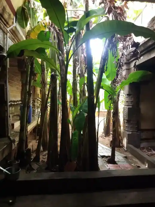 Arulmigu Kathalivaneswarar Temple, Thirukalampur, Ponnamaravathi Taluk - 622403 அருள்மிகு கதலிவனேஸ்வரர் திருக்கோயில், திருக்களம்பூர், பொன்னமராவதி வட்டம் - 622403, Pudukkottai - Ancient Temple Architecture and History Image 4