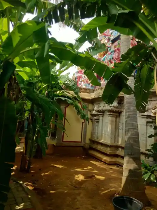 Arulmigu Kathalivaneswarar Temple, Thirukalampur, Ponnamaravathi Taluk - 622403 அருள்மிகு கதலிவனேஸ்வரர் திருக்கோயில், திருக்களம்பூர், பொன்னமராவதி வட்டம் - 622403, Pudukkottai - Ancient Temple Architecture and History Image 5