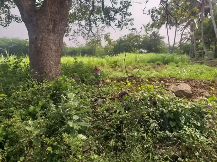 Arulmigu Kathavarayaswamy Temple, Mavathoor - 621311
