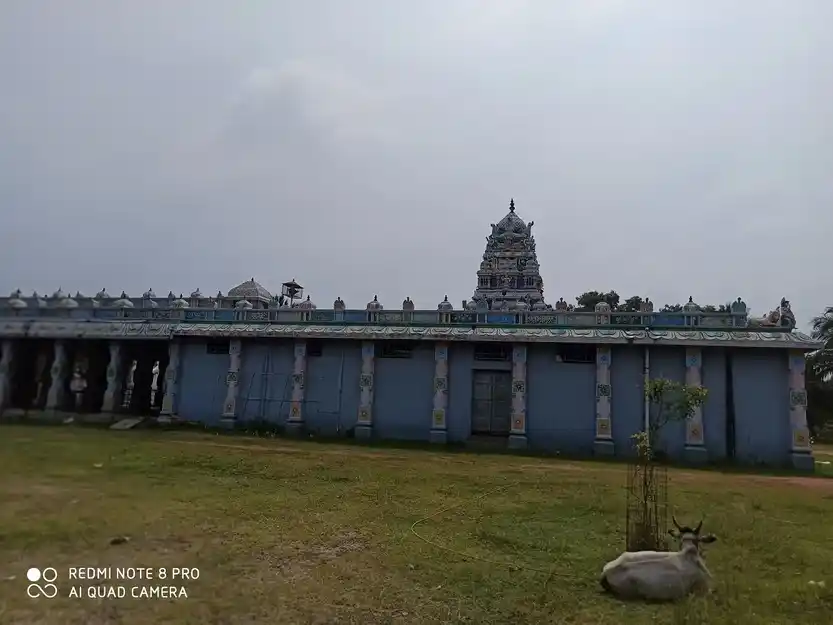 Arulmigu Kathayeeamman Temple, Thanjai Nellithoppu - 614402 அருள்மிகு காத்தாயிஅம்மன் திருக்கோயில், தஞ்சை நெல்லித் தோப்பு - 614402, Thanjavur - Ancient Temple Architecture and History Image 7