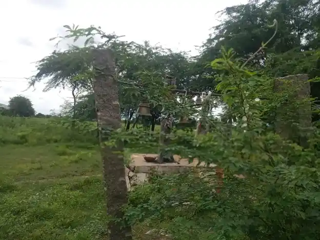 Arulmigu Kathiraya Perumal Temple, Veppanuthu - 625529 அருள்மிகு கதிர்ராயப் பெருமாள் திருக்கோயில், Veppanuthu - 625529, Madurai - Ancient Temple Architecture and History Image 3