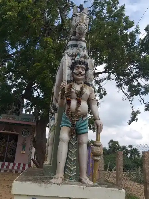 Arulmigu Kattarudaiya Ayyanar Temple, Senavayal - 623404