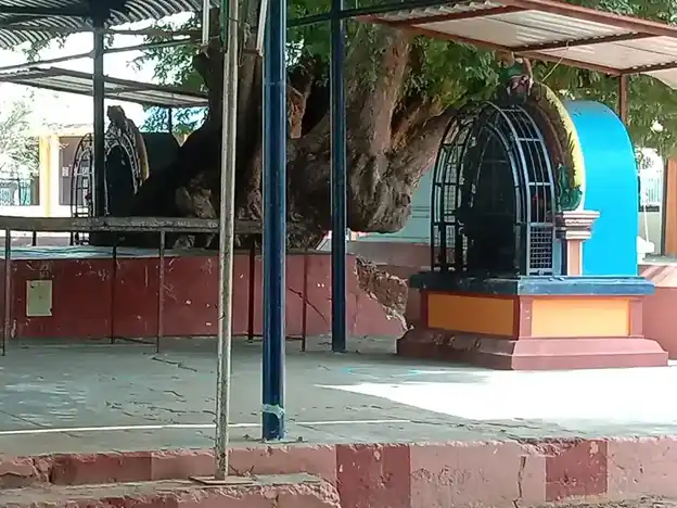 Arulmigu Katterumbu Ayyanar Temple, Tambikkottai - 614601 அருள்மிகு கட்டெறும்பு அய்யனார் திருக்கோயில், Tambikkottai - 614601, Thanjavur - Ancient Temple Architecture and History Image 2