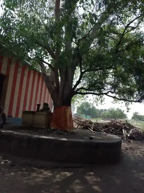 Arulmigu Katti Vinayagar Temple, Peroorani - 628005 அருள்மிகு கட்டி விநாயகர் திருக்கோயில், Peroorani - 628005, Thoothukudi - Ancient Temple Architecture and History Image 4