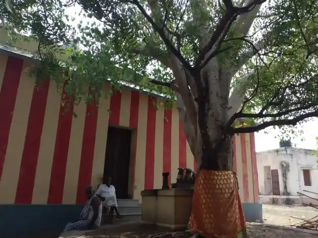 Arulmigu Katti Vinayagar Temple, Peroorani - 628005 அருள்மிகு கட்டி விநாயகர் திருக்கோயில், Peroorani - 628005, Thoothukudi - Ancient Temple Architecture and History Image 5