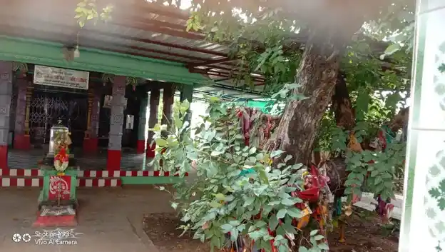 Arulmigu Kattu Amman @ Veeramakaliamman Temple, Melavaniyankudi - 630561 அருள்மிகு. காட்டு அம்மன் திருக்கோயில்,  - 630561, Sivagangai - Ancient Temple Architecture and History Image 5