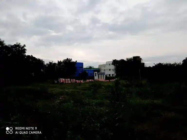 Arulmigu Kattu Karuppasamy Temple, Maravankulam - 625706 Temple