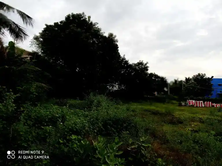 Arulmigu Kattu Karuppasamy Temple, Maravankulam - 625706 Arulmigu Kattu Karuppasamy Temple, Maravankulam - 625706, Madurai - Ancient Temple Architecture and History Image 3