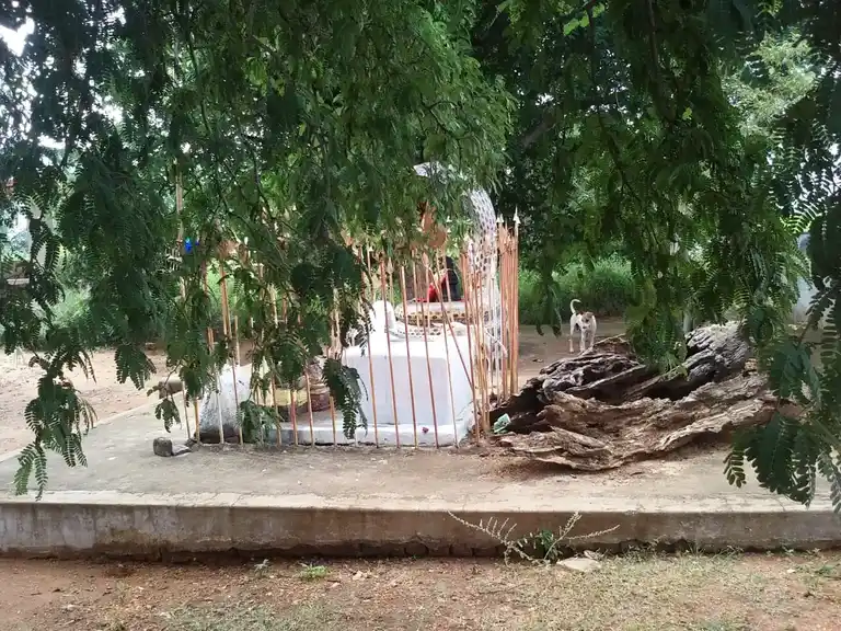 Arulmigu Kattu Muniyappaswami Temple, Manapparai - 621306 அருள்மிகு காட்டு முனியப்பஸ்வாமி திருக்கோயில், மணப்பாறை - 621306, Thiruchirappalli - Ancient Temple Architecture and History Image 3