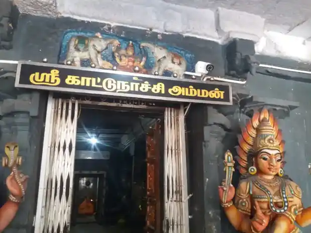 Arulmigu Kattu Naichi Amman Temple, Siravayal - 630207 அருள்மிகு காட்டுநாச்சியம்மன் திருக்கோயில், Siravayal - 630207, Sivagangai - Ancient Temple Architecture and History Image 2