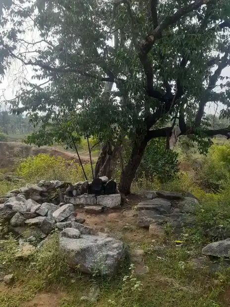 Arulmigu Kattu Perumal Temple, Andipatty - 624621 அருள்மிகு காட்டு பெருமாள் கோயில், Andipatty - 624621, Dindigul - Ancient Temple Architecture and History Image 2