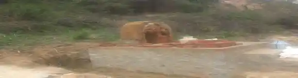 Arulmigu Kattukannimaar Temple, Kudappam - 624706 அருள்மிகு காட்டு கன்னிமார் திருக்கோயில், Kudappam - 624706, Dindigul - Ancient Temple Architecture and History Image 2