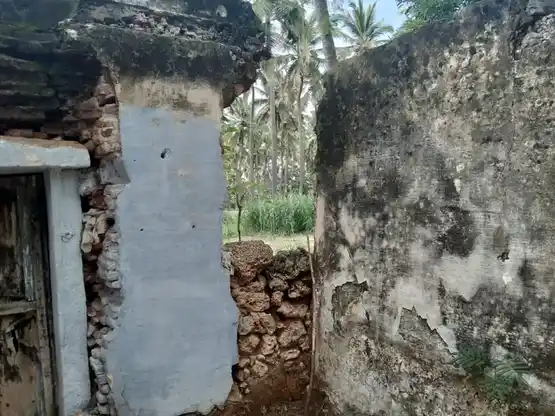 Arulmigu Kattuperumal Temple, Thotathusalai Vazhi, Chellapapalayam - 642207 அருள்மிகு காட்டுப்பெருமாள் திருக்கோயில், Thotathusalai Vazhi, Chellapapalayam - 642207, Tiruppur - Ancient Temple Architecture and History Image 2