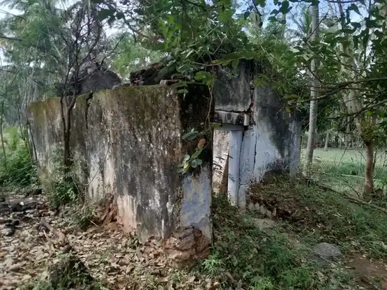 Arulmigu Kattuperumal Temple, Thotathusalai Vazhi, Chellapapalayam - 642207 அருள்மிகு காட்டுப்பெருமாள் திருக்கோயில், Thotathusalai Vazhi, Chellapapalayam - 642207, Tiruppur - Ancient Temple Architecture and History Image 6