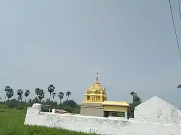 Arulmigu Kattuperumal Thirukoil, Googalour - 634909 அருள்மிகு காட்டுப்பெருமாள் திருக்கோயில், Googalour - 634909, Erode - Ancient Temple Architecture and History Image 9