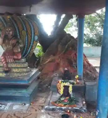 Arulmigu Kattuselliyamman Temple, Senkarai - 602026 அருள்மிகு காட்டு செல்லி அம்மன் கோயில், செங்கரை - 602026, Tiruvallur - Ancient Temple Architecture and History Image 2