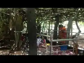 Arulmigu Kattuselliyamman Temple, Senkarai - 602026 அருள்மிகு காட்டு செல்லி அம்மன் கோயில், செங்கரை - 602026, Tiruvallur - Ancient Temple Architecture and History Image 3