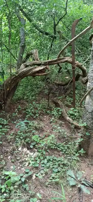 Arulmigu Kauppusamy Temple, Thethur, Usilampatti - 621311 Arulmigu Kauppusamy Temple, Thethur, Usilampatti - 621311, Thiruchirappalli - Ancient Temple Architecture and History Image 4