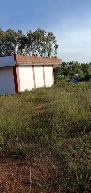 Arulmigu Kaveriamman Temple, Thootagiri - 635109 அருள்மிகு காவேரியம்மன் திருக்கோயில், Thootagiri - 635109, Krishnagiri - Ancient Temple Architecture and History Image 3