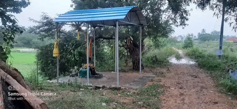 Arulmigu Kavundankulam Kannimaar Temple, Madur - 624306