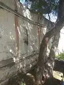 Arulmigu Kayanimaleshwarar Temple, Bus Stand Back Side, Attur - 636102 அருள்மிகு காயநிர்மலேஸ்வரர் வகையறா திருக்கோயில், பேருந்து நிலையம் பின்புறம், ஆத்தூர் - 636102, Salem - Ancient Temple Architecture and History Image 8