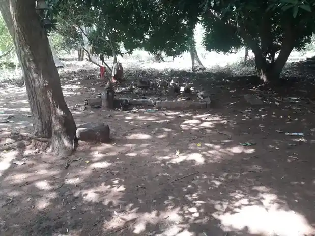 Arulmigu Keelakannimar Temple, Katchaikatti - 625218