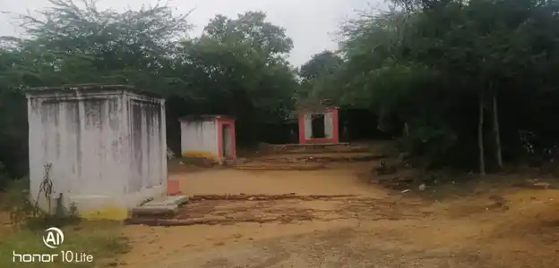 Arulmigu Keelavasal Periya Ayyanar Temple, Vepangudi - 622303 அருள்மிகு கீழவாசல் பெரிய அய்யனார் திருக்கோயில், Vepangudi - 622303, Pudukkottai - Ancient Temple Architecture and History Image 2