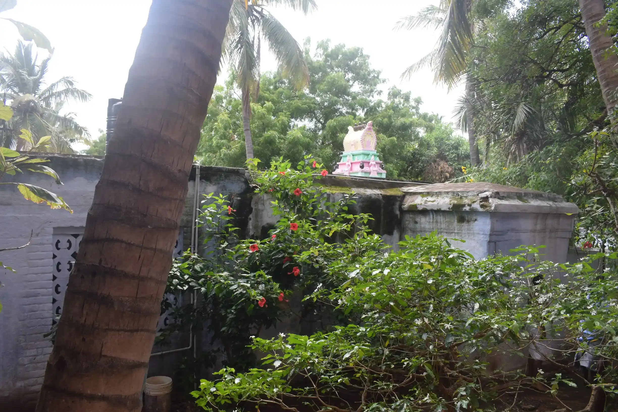 Arulmigu Keezha Mutharamman Temple, Melapuliyur - 627811 அருள்மிகு கீழமுத்தாரம்மன் திருக்கோயில், Melapuliyur - 627811, Tenkasi - Ancient Temple Architecture and History Image 3