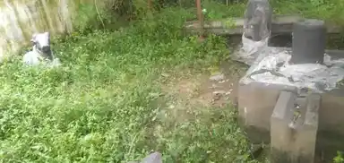 Arulmigu Kengaiayam Vinayagar Temple, Vadakal - 631604 Arulmigu Kengaiayam Vinayagar Temple, Vadakal - 631604, Kancheepuram - Ancient Temple Architecture and History Image 3