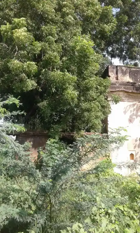 Arulmigu Kesavarau Mohith Raov Sakip Temple, Puduppattinam, Thanjavur - 614904 அருள்மிகு கேசவராவ் மொகித்ராவ் சாகேப் திருக்கோயில், Puduppattinam, Thanjavur - 614904, Thanjavur - Ancient Temple Architecture and History Image 3