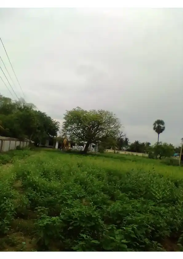 Arulmigu Kidangu Veeran Temple, Prathabaramapuram - 611111 அருள்மிகு கிடங்கு வீரன் திருக்கோயில், Prathabaramapuram - 611111, Nagapattinam - Ancient Temple Architecture and History Image 2