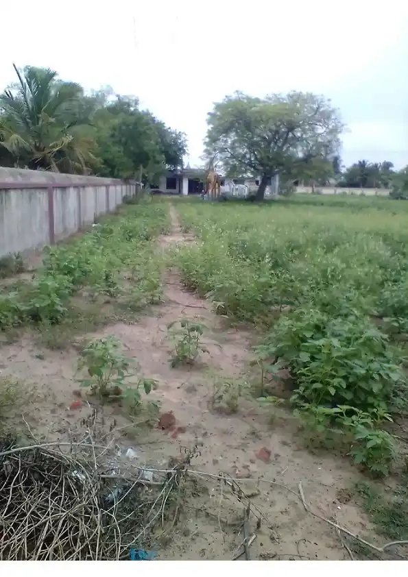 Arulmigu Kidangu Veeran Temple, Prathabaramapuram - 611111 அருள்மிகு கிடங்கு வீரன் திருக்கோயில், Prathabaramapuram - 611111, Nagapattinam - Ancient Temple Architecture and History Image 3