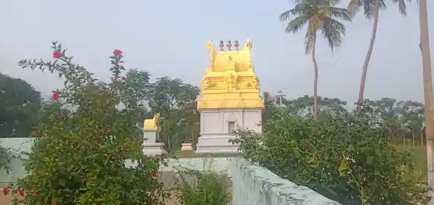 Arulmigu Kittampattiamman Temple, Ammappettai - 638311 அருள்மிகு கிட்டாம்பட்டியம்மன் திருக்கோயில், Ammappettai - 638311, Erode - Ancient Temple Architecture and History Image 2