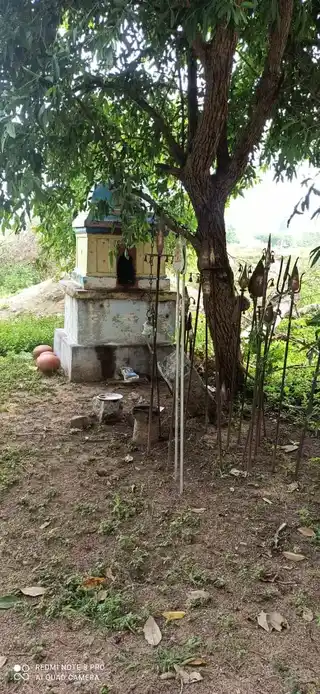 Arulmigu Kodanginayakar Temple, Pinnathur - 621302