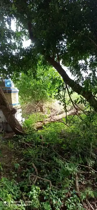 Arulmigu Kodanginayakar Temple, Pinnathur - 621302 Arulmigu Kodanginayakar Temple, Pinnathur - 621302, Thiruchirappalli - Ancient Temple Architecture and History Image 3
