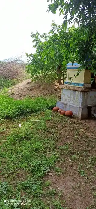 Arulmigu Kodanginayakar Temple, Pinnathur - 621302 Arulmigu Kodanginayakar Temple, Pinnathur - 621302, Thiruchirappalli - Ancient Temple Architecture and History Image 4