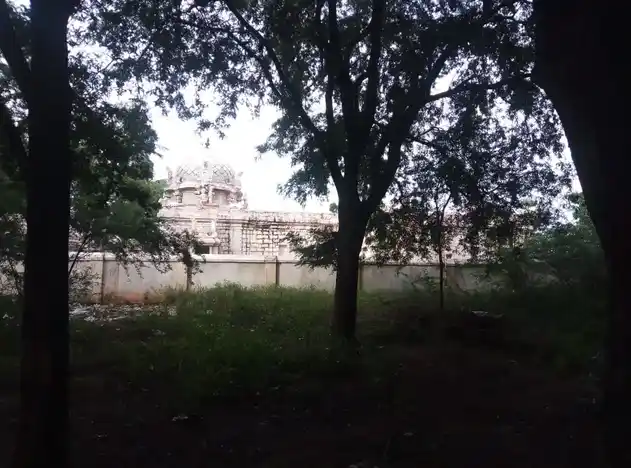 Arulmigu Kodeeswarar Temple, Sirukalathur - 621710 அருள்மிகு கோடீஸ்வரர் திருக்கோயில், Sirukalathur - 621710, Ariyalur - Ancient Temple Architecture and History Image 5