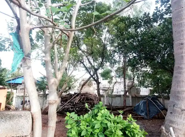 Arulmigu Kodeeswarar Temple, Sirukalathur - 621710 அருள்மிகு கோடீஸ்வரர் திருக்கோயில், Sirukalathur - 621710, Ariyalur - Ancient Temple Architecture and History Image 6