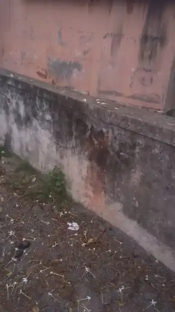 Arulmigu Kodhandarama Swamy Temple, Aagur - 604207 Arulmigu Kodhandarama Swamy Temple, Aagur - 604207, Viluppuram - Ancient Temple Architecture and History Image 4