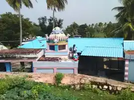 Arulmigu Kodiyeriyamman Temple, Thirukkalampur - 622403 அருள்மிகு கொடியேரியம்மன் திருக்கோயில், Thirukkalampur - 622403, Pudukkottai - Ancient Temple Architecture and History Image 4