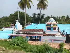 Arulmigu Kodiyeriyamman Temple, Thirukkalampur - 622403 அருள்மிகு கொடியேரியம்மன் திருக்கோயில், Thirukkalampur - 622403, Pudukkottai - Ancient Temple Architecture and History Image 5