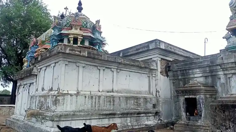 Arulmigu Kodyeswar Swamy Temple, Kodimanagalam - 613704 அருள்மிகு கோடீஸ்வரர் திருக்கோயில், Kodimanagalam - 613704, Thiruvarur - Ancient Temple Architecture and History Image 3