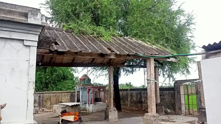 Arulmigu Kodyeswar Swamy Temple, Kodimanagalam - 613704 அருள்மிகு கோடீஸ்வரர் திருக்கோயில், Kodimanagalam - 613704, Thiruvarur - Ancient Temple Architecture and History Image 5