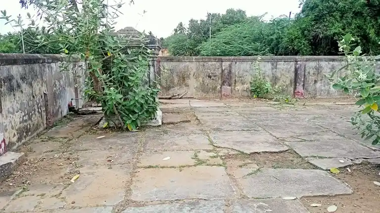 Arulmigu Kodyeswar Swamy Temple, Kodimanagalam - 613704 அருள்மிகு கோடீஸ்வரர் திருக்கோயில், Kodimanagalam - 613704, Thiruvarur - Ancient Temple Architecture and History Image 7