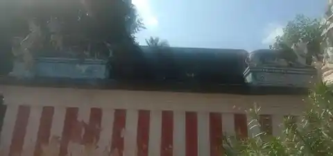 Arulmigu Kogamugiswarar Temple, Kovindhakudi - 612701 அருள்மிகு கோகமுக்தீஸ்வரர் திருக்கோயில், Kovindhakudi - 612701, Thiruvarur - Ancient Temple Architecture and History Image 11