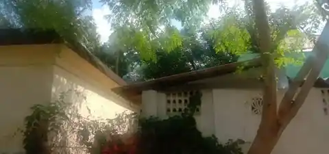 Arulmigu Kogamugiswarar Temple, Kovindhakudi - 612701 அருள்மிகு கோகமுக்தீஸ்வரர் திருக்கோயில், Kovindhakudi - 612701, Thiruvarur - Ancient Temple Architecture and History Image 19