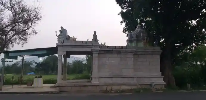 Arulmigu Kolathamman Temple, Inside The Village, Veliagaram - 631207 அருள்மிகு கோளாத்தம்மன் திருக்கோயில், Inside The Village, Veliagaram - 631207, Tiruvallur - Ancient Temple Architecture and History Image 3