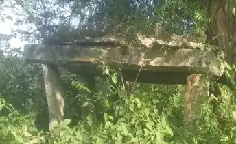 Arulmigu Kollimariyamman Temple, Ennegolpudur - 635116 அருள்மிகு கொல்லி மாரியம்மன் திருக்கோயில், பெல்லம்பள்ளி - 635116, Krishnagiri - Ancient Temple Architecture and History Image 4