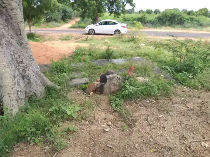 Arulmigu Kollinachiyamman Temple, Vellapatty - 621301 அருள்மிகு கொல்லிநாச்சியம்மன்  திருக்கோயில், Vellapatty - 621301, Karur - Ancient Temple Architecture and History Image 2